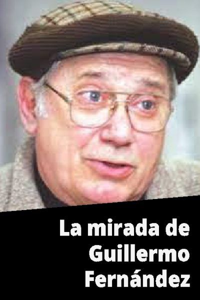 La mirada de Guillermo Fernández